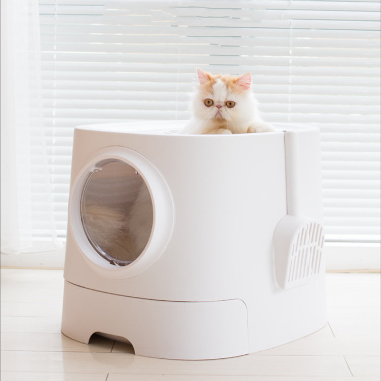 White cat clearance litter box